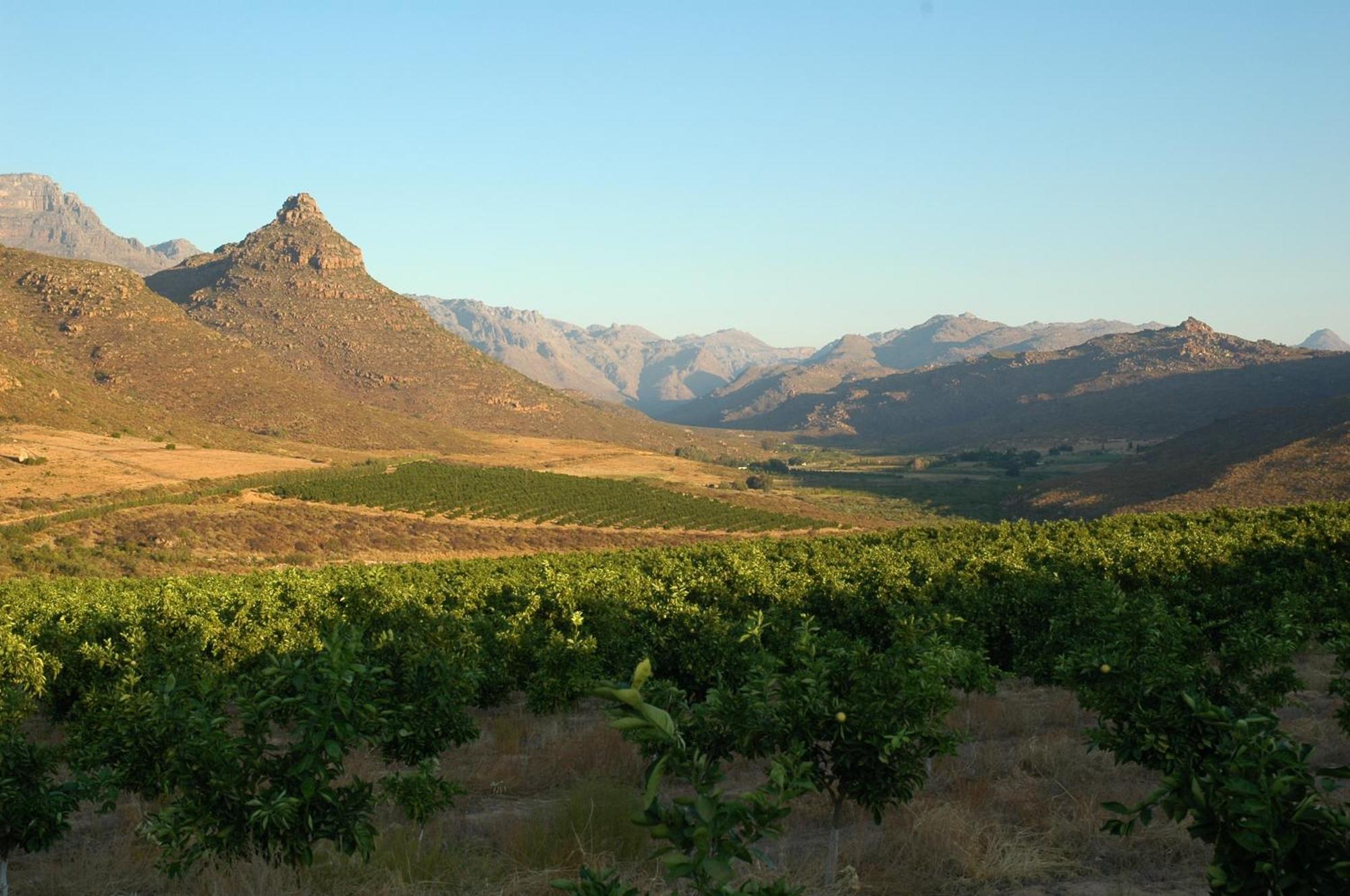 Klein Boschkloof Villa Clanwilliam Exteriör bild