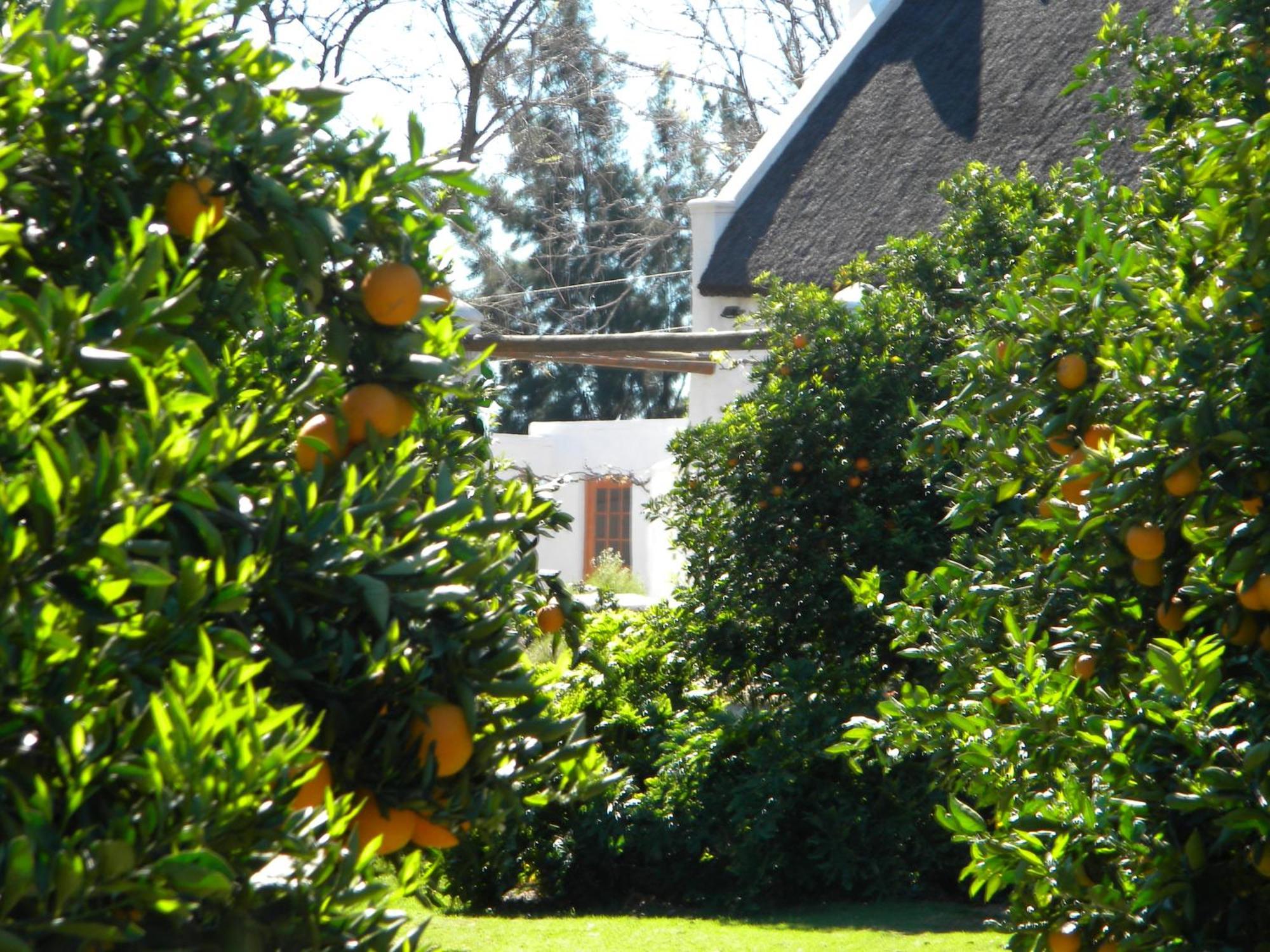 Klein Boschkloof Villa Clanwilliam Exteriör bild