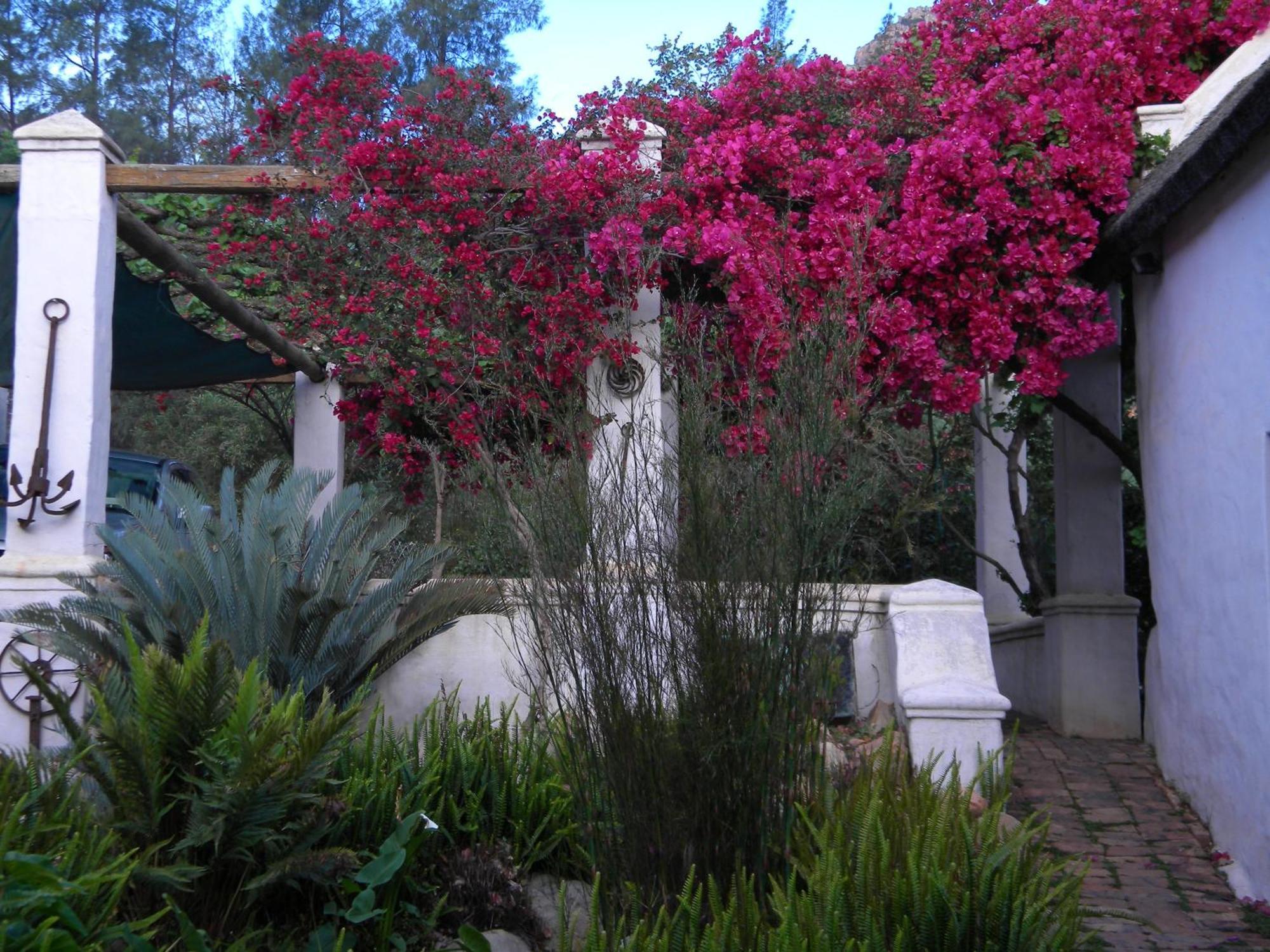 Klein Boschkloof Villa Clanwilliam Exteriör bild
