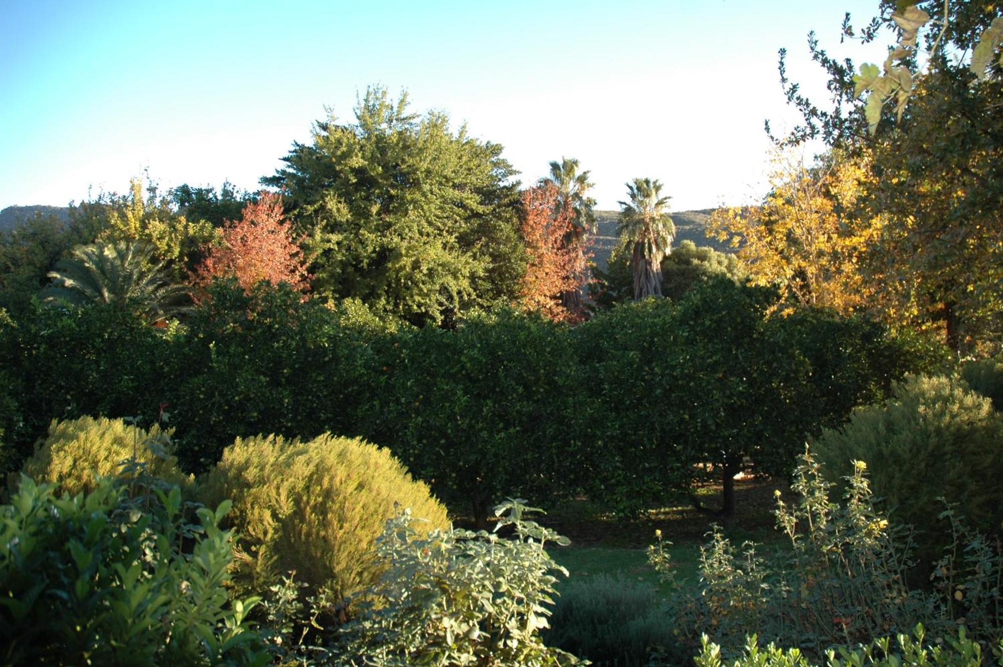 Klein Boschkloof Villa Clanwilliam Exteriör bild