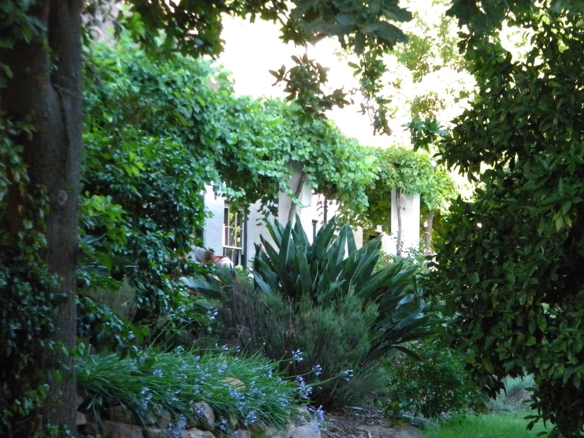 Klein Boschkloof Villa Clanwilliam Exteriör bild